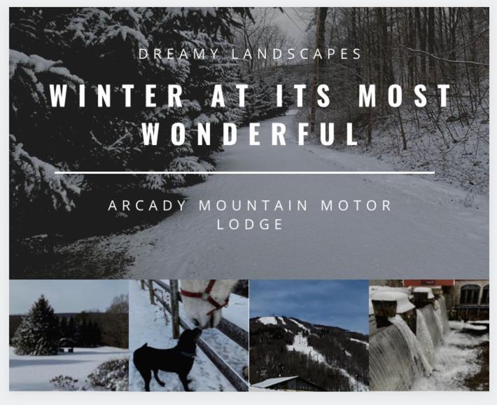 Arcady Mountain Motor Lodge Sunderland Exteriör bild